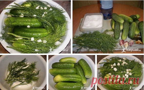 Суточные малосольные огурцы на минералке Сегодня будем готовить вкуснейшие огурчики.
Рецепт особенно актуален в преддверии сезона овощей. Сохраняйте себе этот гениальный лайфхак и порадуете домашних и гостей вкуснейшим блюдом!

Ингредиенты:
огурцы – 1 килограмм
минеральная вода – 1 литр
соль – 2 столовых ложки без горки
чеснок – 5 з