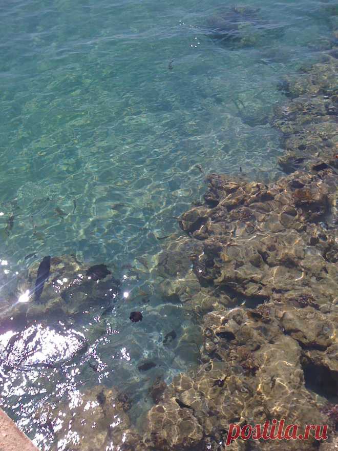 Красное море.