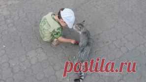 (48) Одноклассники