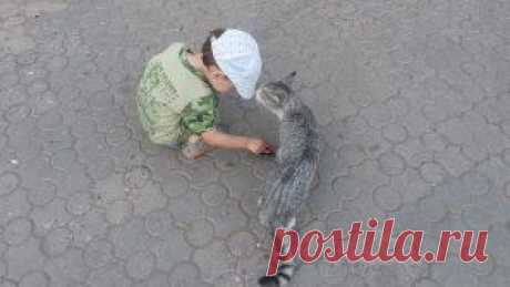 (48) Одноклассники