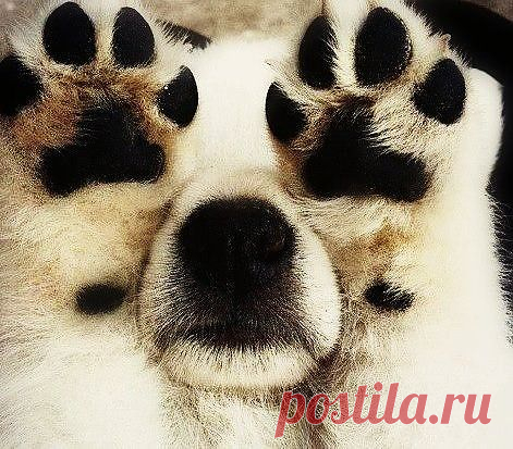 Кто я?