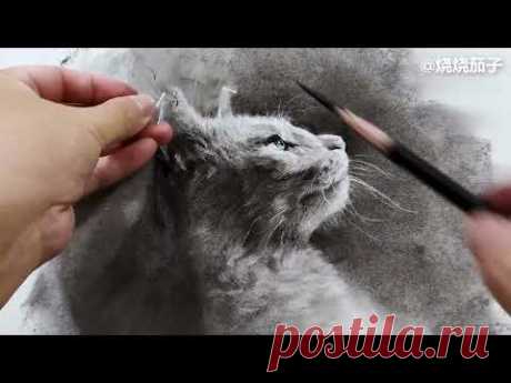 Drawing a realistic cat with charcoal