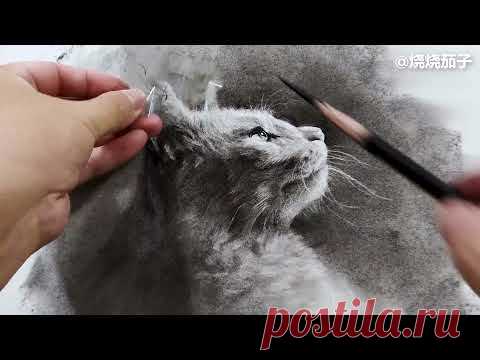Drawing a realistic cat with charcoal