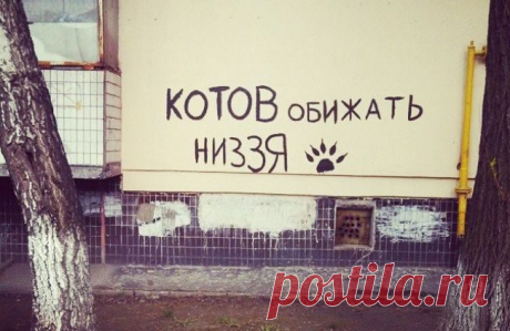 20 жизненных объявлений
