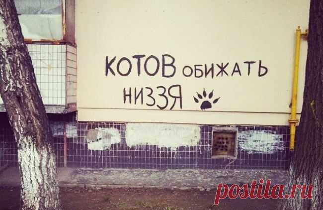20 жизненных объявлений