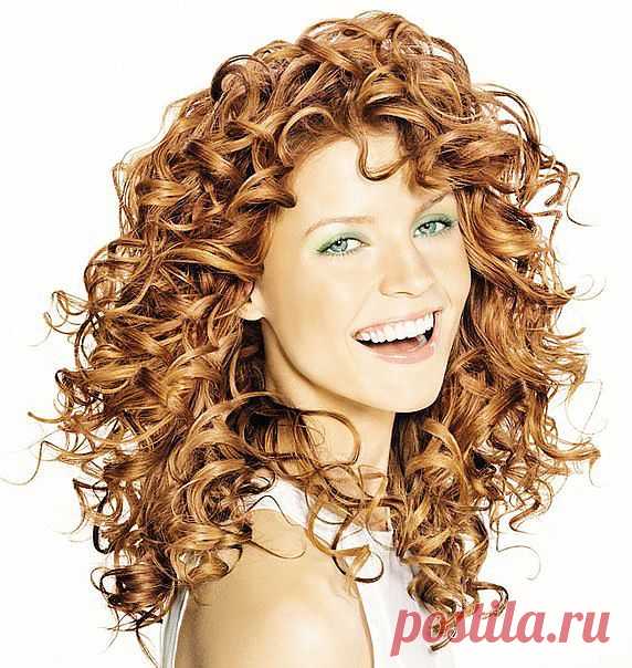 Без заголовка.