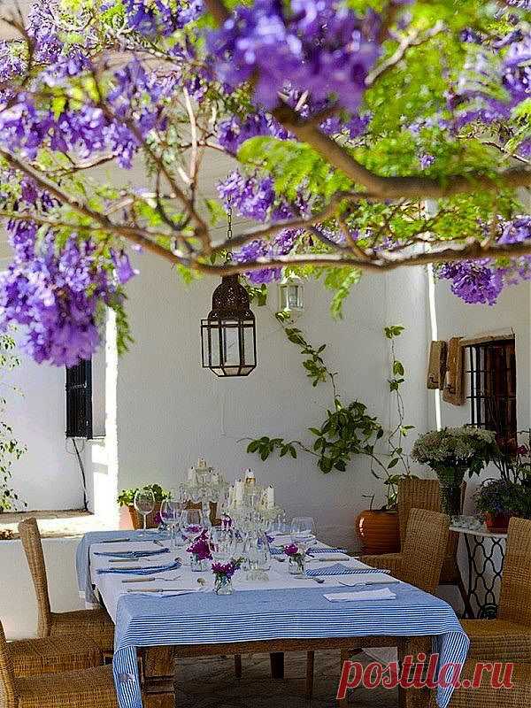 backyard | Ideas for my patio