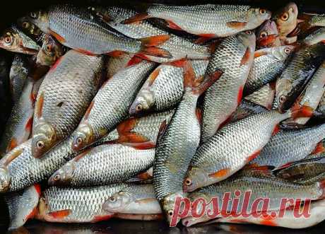 Сборная мормышка – простая и результативная снасть | Рыбалка для людей | Яндекс Дзен