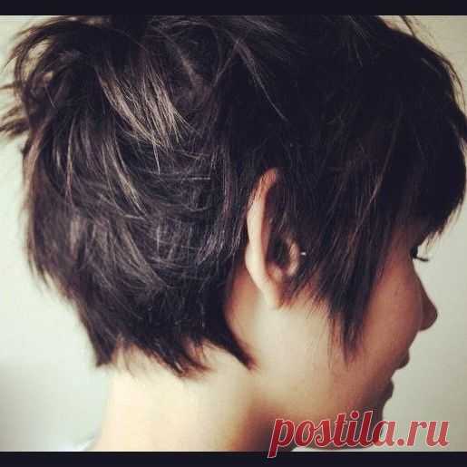 Back of pixie | Coupe courte | Short Hair, Shorts and Hair