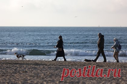 Тело девятиклассника нашли на дне Черного моря возле российского курорта. В Анапе на дне Черного моря на глубине около полутора метров нашли тело девятиклассника. Рядом с телом 16-летнего мальчика находился полиэтиленовый пакет, наполненный морской галькой. Подросток находился на дистанционном обучении в московской школе. 25 января он признался своей матери, что врал ей о ходе учебы.