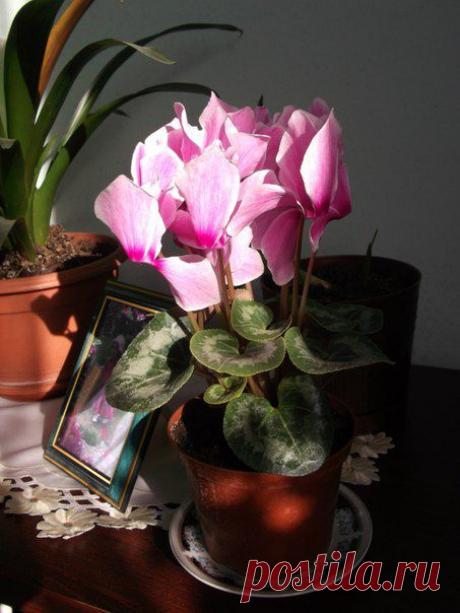 Приглашаю к сотрудничеству в интернете -без вложений и продаж.3-4 часа в день ,в любое время суток,обучение бесплатное .Присоединяйтесь!!!Заинтересовала ? пишите в личку ,вышлю дополнительную информацию.Начните сегодня!!!Примите правильное решение,поверьте -не пожалеете никогда!