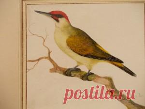 Признаки не-насильственных отношений Эта статья не является ни психологической, ни научной. Эта статья не является «объективной», что бы это понятие ни значило. Эта статья описывает в первую очередь опыт одной белой женщины среднего класса с высшим образованием, и немного касается опыта моих знакомых, из того же…