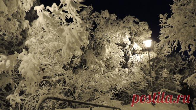 После снегопада.