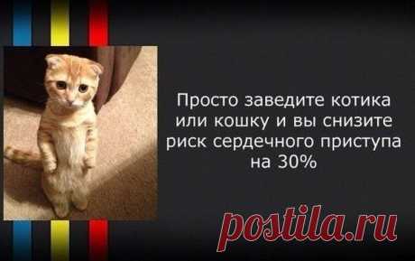 Новые факты о привычных вещах | Хитрости Жизни