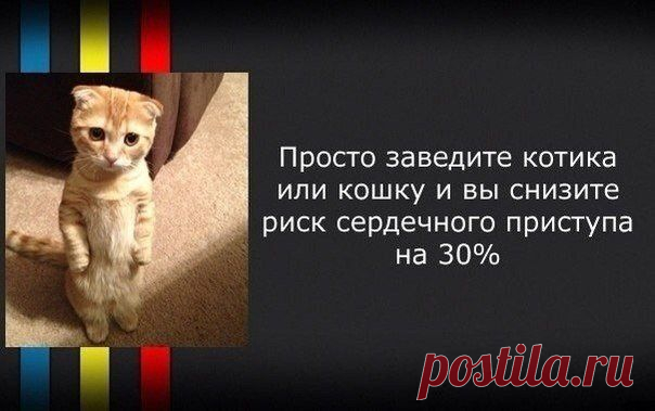 Новые факты о привычных вещах | Хитрости Жизни