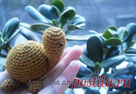 Вязаная черепашка амигуруми