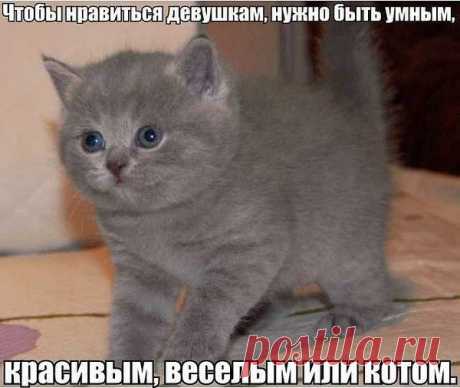 Интересные новости