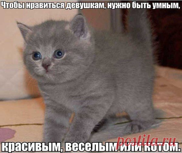 Интересные новости