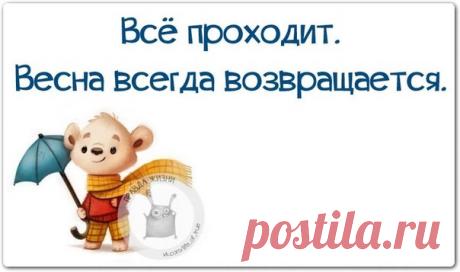 Прикольные картинки с фразками