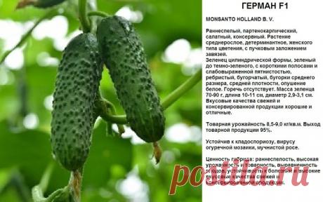 (1) Одноклассники