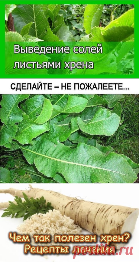 (1) Одноклассники