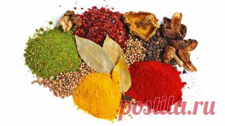 10 продуктов, которые спасут от рака | Golbis