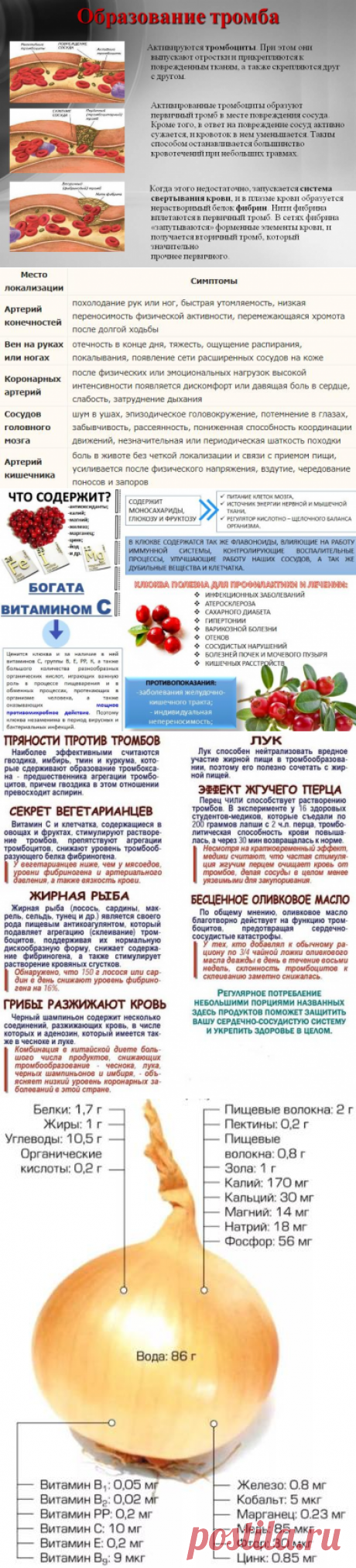 Тромбы — какие продукты рассасывают сгустки | Лечение в Домашних Условиях