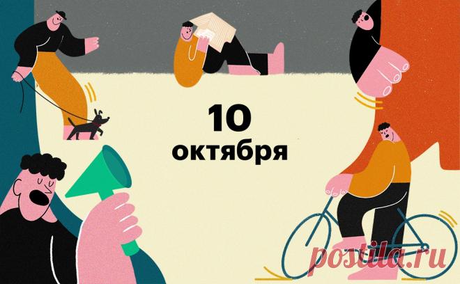 Крушение самолета в Татарстане, отставка Курца. Главное за выходные. Крушение самолета с парашютистами в Татарстане, выборы в Чехии, канцлер Австрии подал в отставку, суточная смертность от COVID-19 в России берет рекорд. Что произошло за выходные — в обзоре РБК