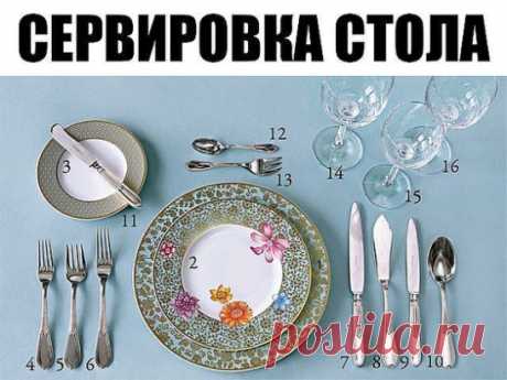 Сервировка стола
1. Тарелка для горячего. 
2. Закусочная тарелка. 
3. Тарелка для хлеба. 
4. Закусочная вилка. 
5. Вилка для рыбы. 
6. Столовая вилка. 
7. Столовый нож. 
8. Нож для рыбы. 
9. Закусочный нож. 
10. Столовая ложка. 
11. Нож для масла. 
12. Десертная ложка. 
13. Десертная вилка. 
14. Бокал для воды. 
15. Бокал для белого вина. 
16. Бокал для красного вина.