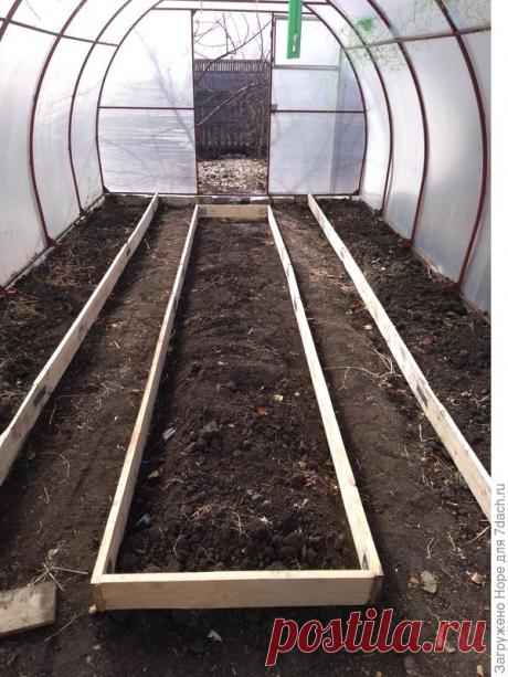 Ограждения для грядок в теплице: как определиться с количеством дорожек. Фото