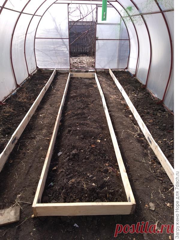 Ограждения для грядок в теплице: как определиться с количеством дорожек. Фото