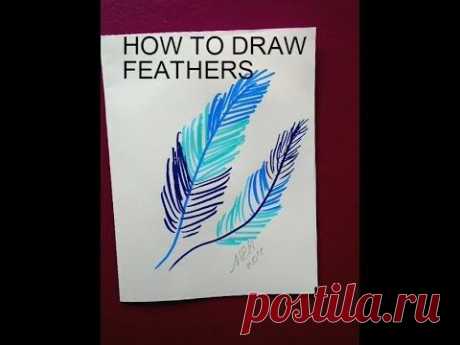 Drawing: How to DRAW FEATHERS, crafts for kids
