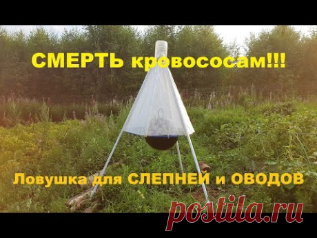 Ловушка для слепней и оводов