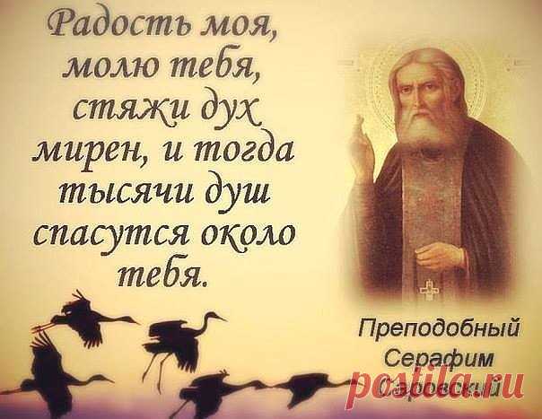 (83) Одноклассники