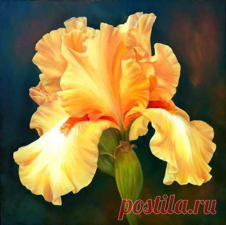 Ирисы часть1 картинки для декупажа