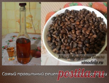 Настойка на кедровых орешках на водке рецепт: вкусно и полезно Немногие знают, что неправильно приготовленная Кедровая настойка может нанести вред здоровью! В этой статье я расскажу, как правильно готовить Кедровку.