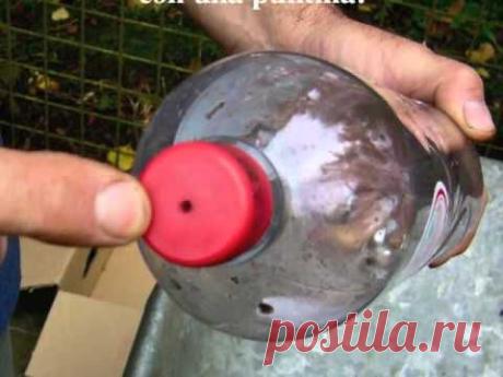 CÓMO HACER LA HUERTA VERTICAL DE BOTELLAS DE PLÁSTICO
