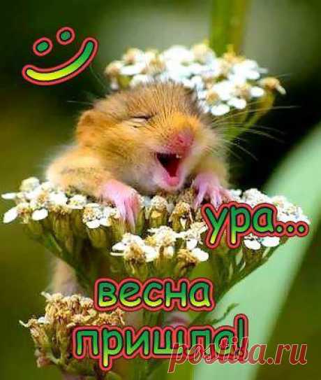 (Изображение JPEG, 354 × 418 пикселов)