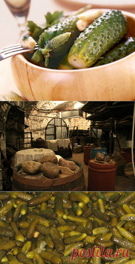 Засолка огурцов в бочках (основной рецепт)