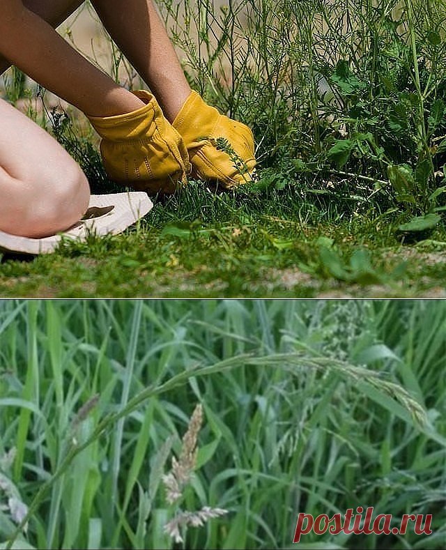 (89) Одноклассники