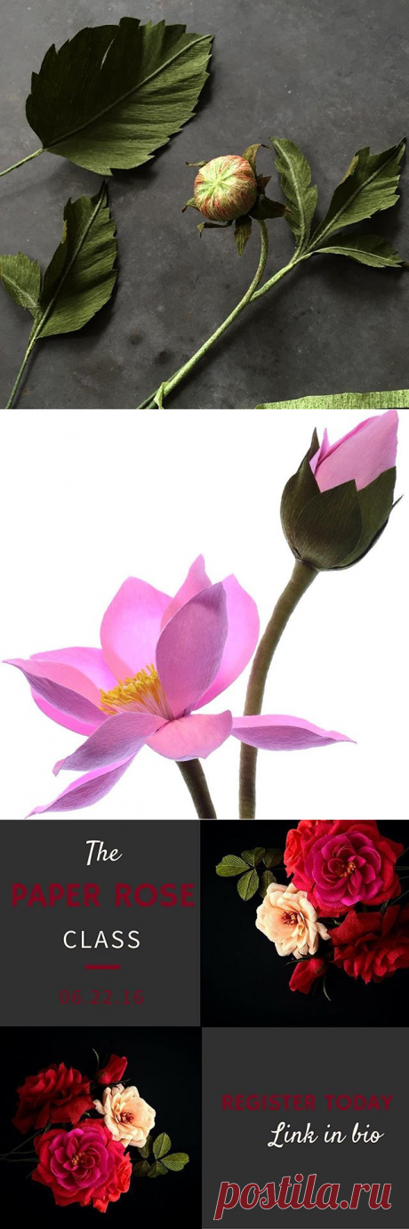 #paperflowers • Фото и видео на Instagram