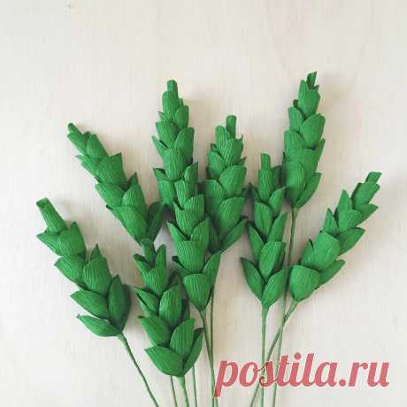 Meredith and Cherie Eastburn в Instagram: «Most of our stems are inspired by a specific bloom or greenery in nature, but these guys were just fun to make and filled a…» 323 отметок «Нравится», 19 комментариев — Meredith and Cherie Eastburn (@amaranthuspaperflora) в Instagram: «Most of our stems are inspired by a specific bloom or greenery in nature, but these guys were just…»