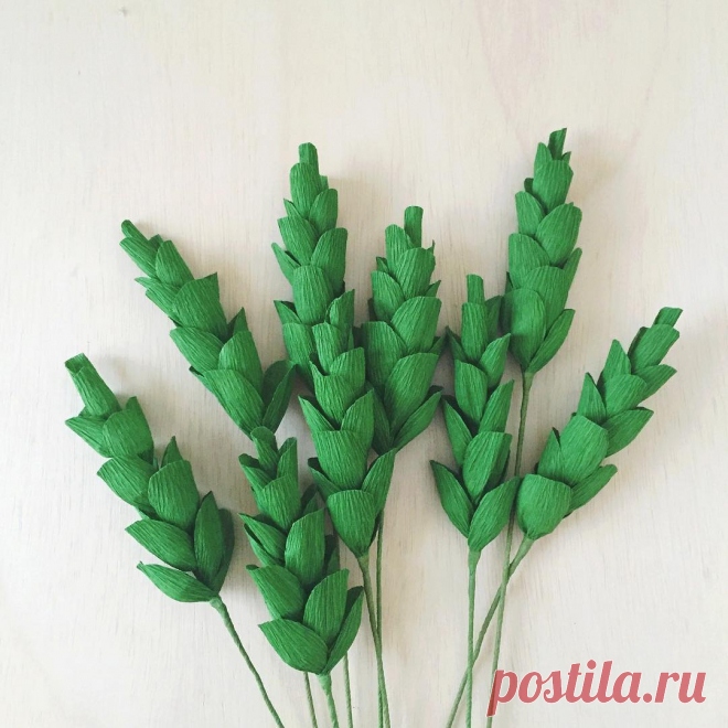 Meredith and Cherie Eastburn в Instagram: «Most of our stems are inspired by a specific bloom or greenery in nature, but these guys were just fun to make and filled a…» 323 отметок «Нравится», 19 комментариев — Meredith and Cherie Eastburn (@amaranthuspaperflora) в Instagram: «Most of our stems are inspired by a specific bloom or greenery in nature, but these guys were just…»