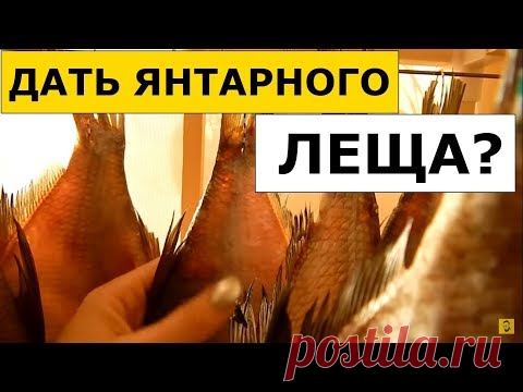 Как Вкусно Засолить Рыбу (Леща) Дома? Обзор 
