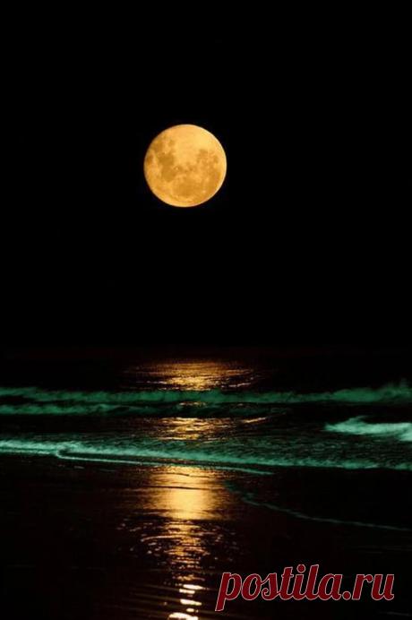 Фото – Google+