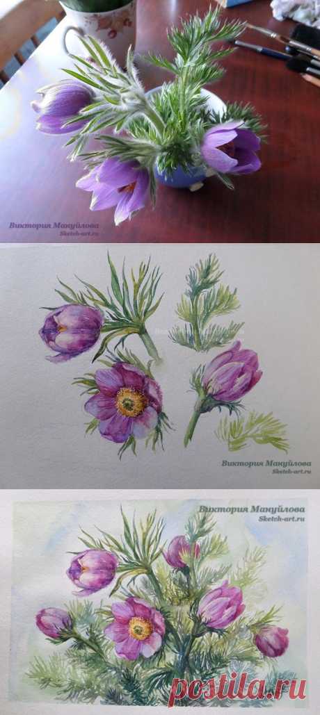 Нарисуем подснежники ? Поэтапный урок рисования