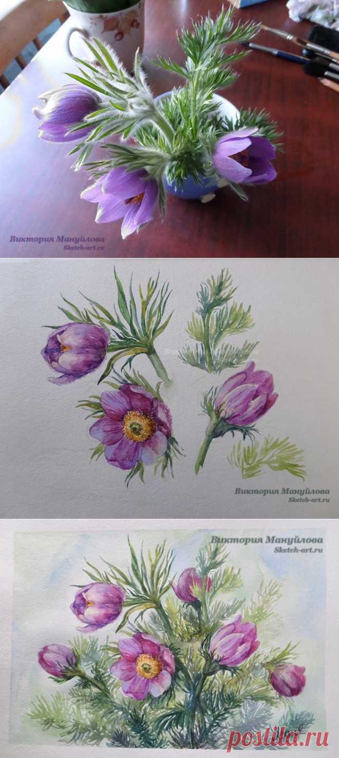 Нарисуем подснежники ? Поэтапный урок рисования