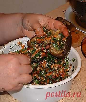 БАКЛАЖАНЫ МАРИНОВАННЫЕ ФАРШИРОВАННЫЕ ЗЕЛЕНЬЮ.