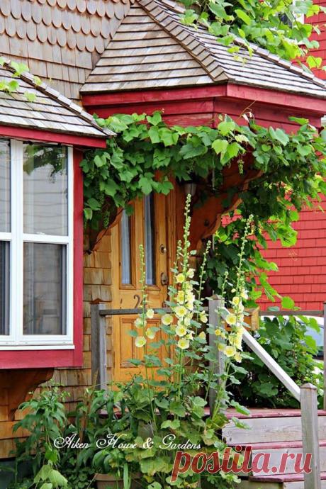 106554977_3716430425050788_2329539386754475546_o.jpg (640×960)