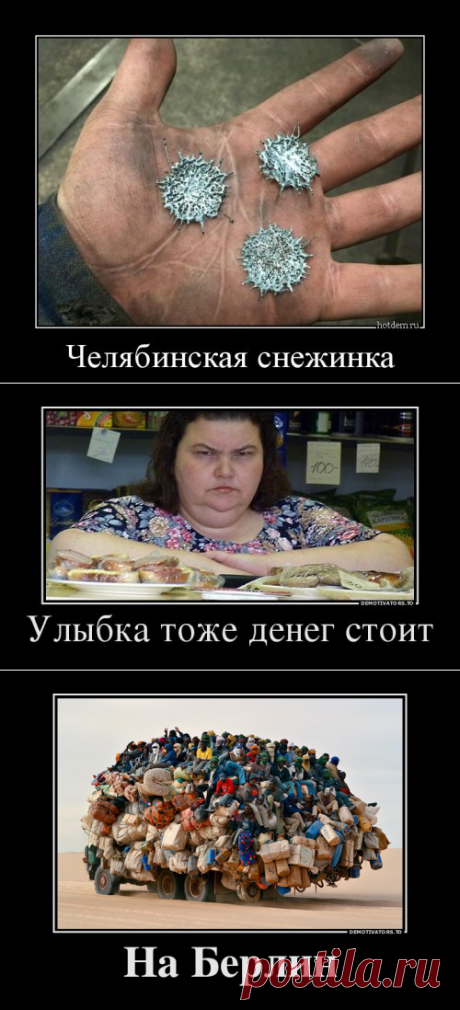 Порция приколов и юмора